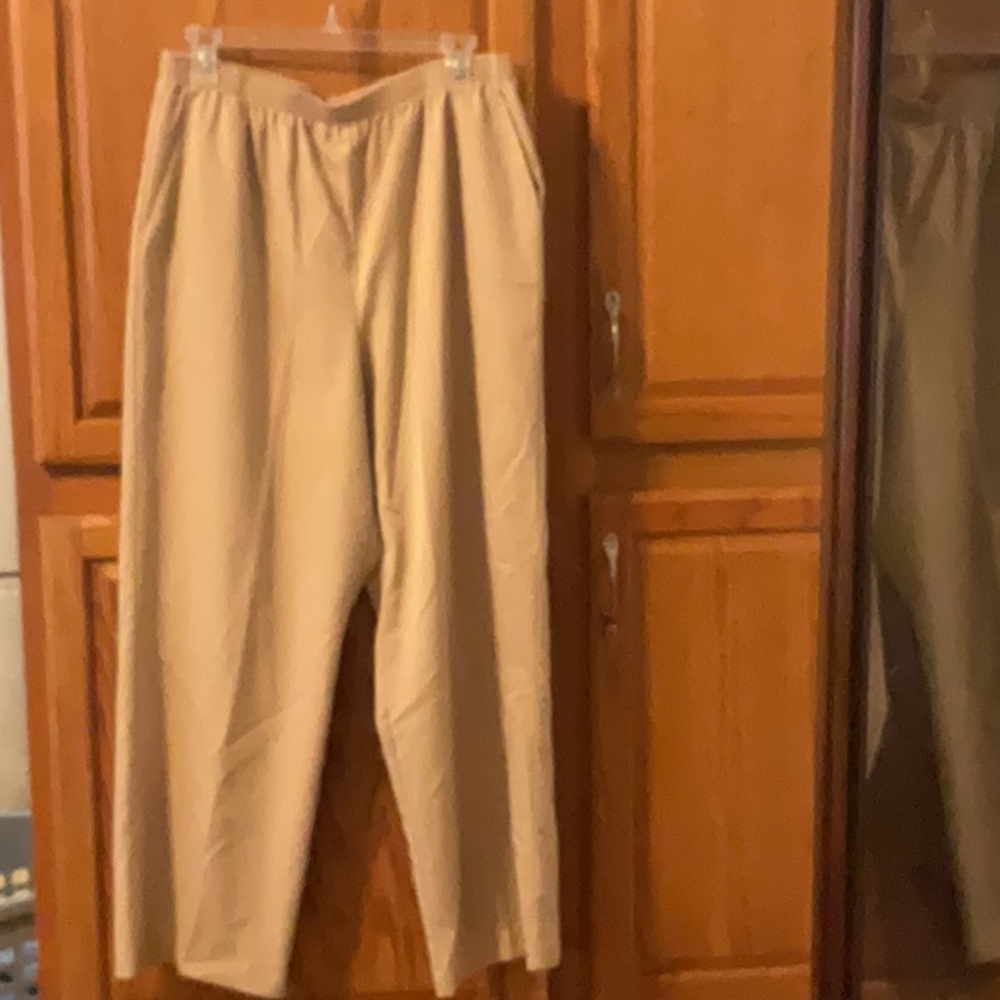 Alfred dunner size 16 ladies pants